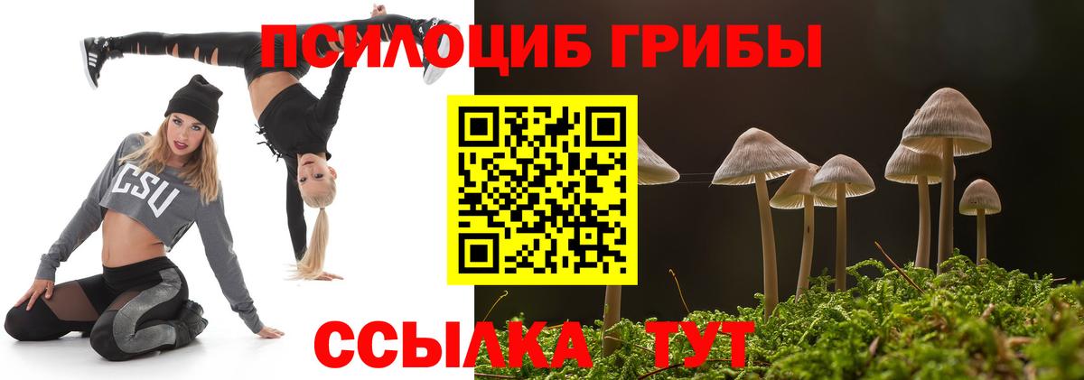 Орёл  Псилоцибиновые грибы ЛСД  Псилоцибиновые грибы MAGIC MUSHROOMS  Вход с VPN 
